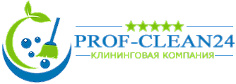 Prof-Clean24